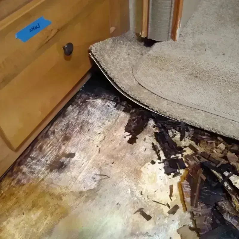 Wood Floor Water Damage in Saint Augustine South, FL